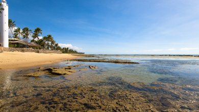 praia do forte 01 1080x566